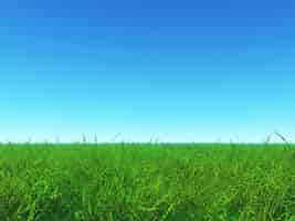 Gratis foto groen gras en blauwe hemel