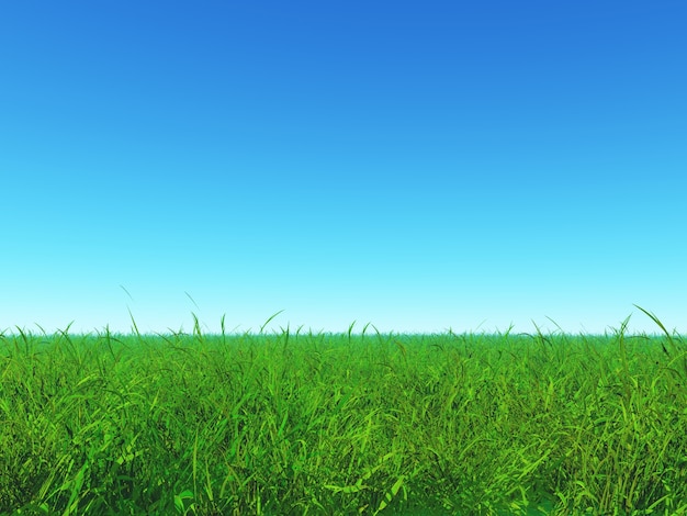 Groen gras en blauwe hemel