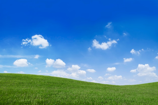 Groen grasveld en blauwe hemel