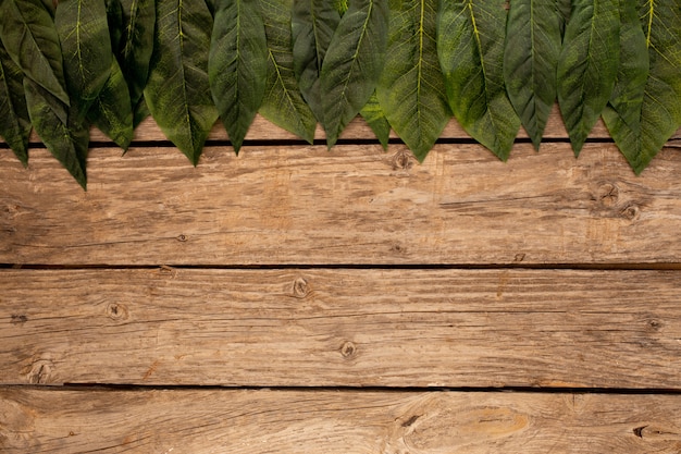 Groen laat een houten bruine achtergrond achter