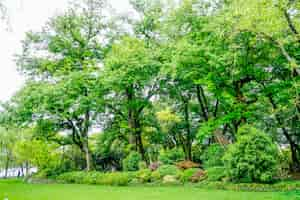 Gratis foto groen park uitzicht