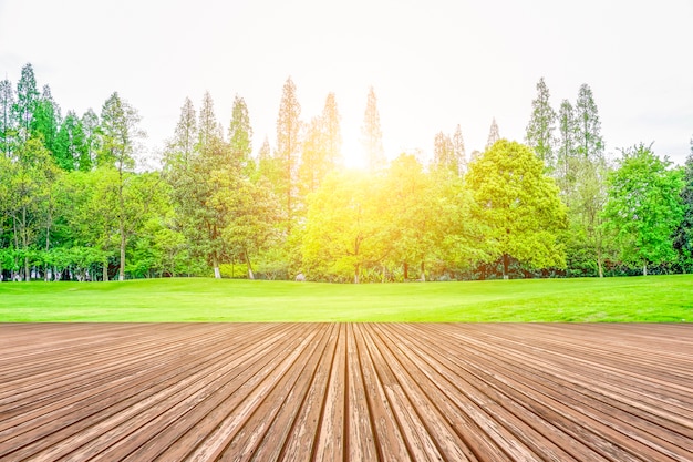 Gratis foto groen park uitzicht