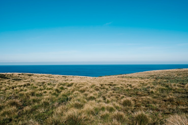 Gratis Foto groen veld en zee