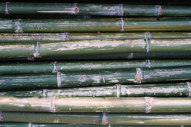 groene bamboe