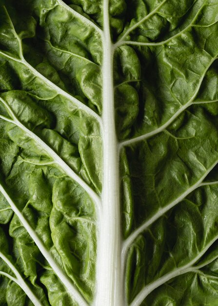 Groene biologische veggie voor salade