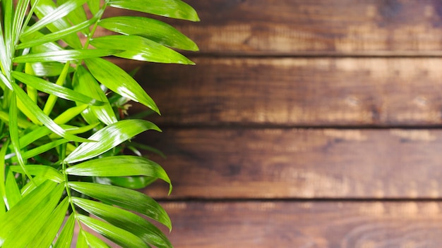 Groene bladeren en houten tafel