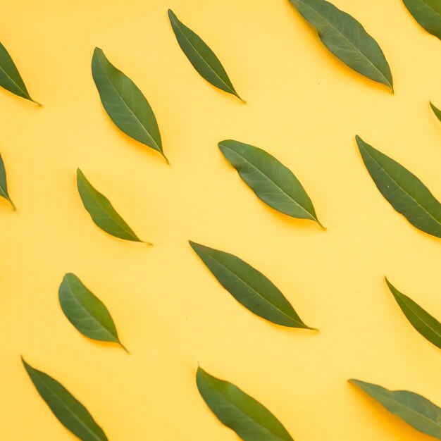 Groene bladeren op gele achtergrond