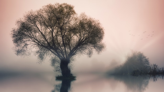 Gratis foto groene boom op waterlichaam