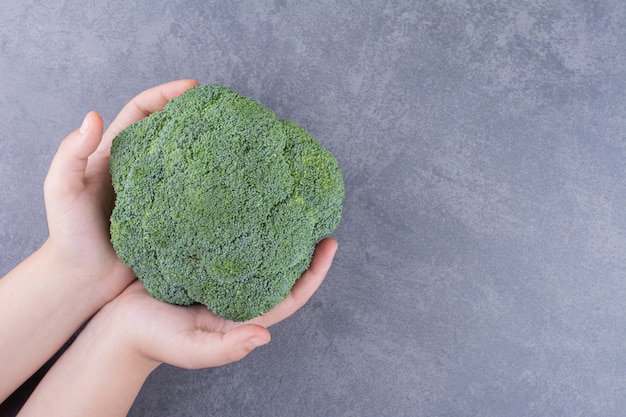 Groene broccoli geïsoleerd op grijze ondergrond