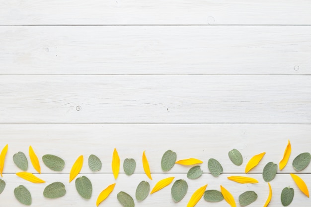 Gratis foto groene en gele planten op tafel