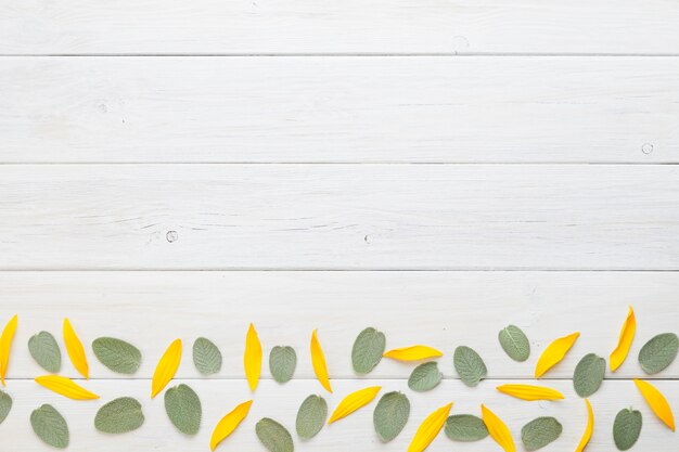 Groene en gele planten op tafel