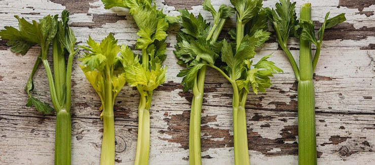 Gratis Foto groene gezonde natuurlijke salade snack