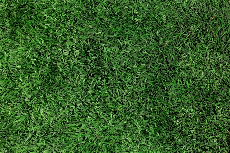 Gratis Foto groene gras textuur close-up