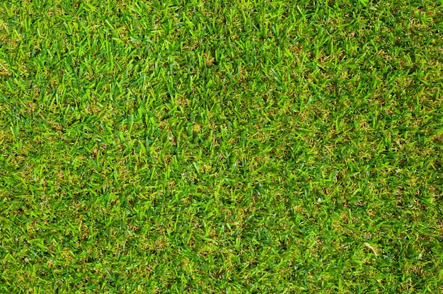 Groene Gras Textuurachtergrond