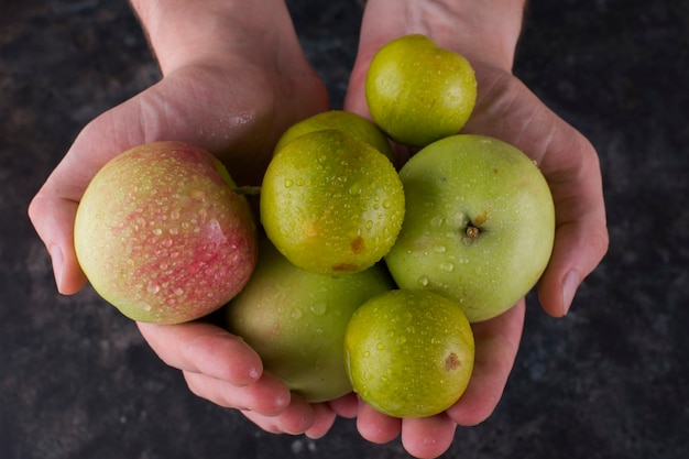 Groene kersenpruimen en appels in de handen van een persoon