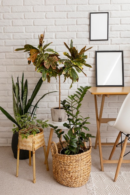 Gratis foto groene planten en houten meubels