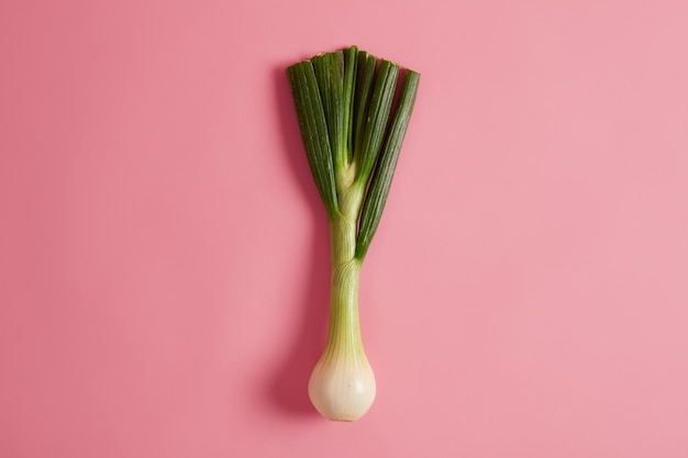 Gratis foto groene prei met zoete smaak, klaar om te koken, biedt tal van gezondheidsvoordelen, bevat verschillende voedingsstoffen, zeer caloriearm, kan worden toegevoegd aan uw dieet, soep, salades of stoofschotels. verse wilde helling