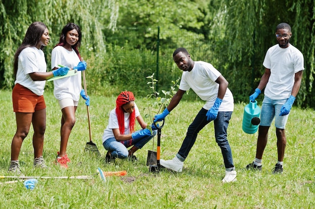 Groep gelukkige afrikaanse vrijwilligers die boom planten in park Afrika vrijwilligerswerk voor liefdadigheidsmensen en ecologieconcept