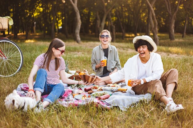 Groep lachende meisjes die graag tijd doorbrengen op een mooie picknick met een kleine hond in het park