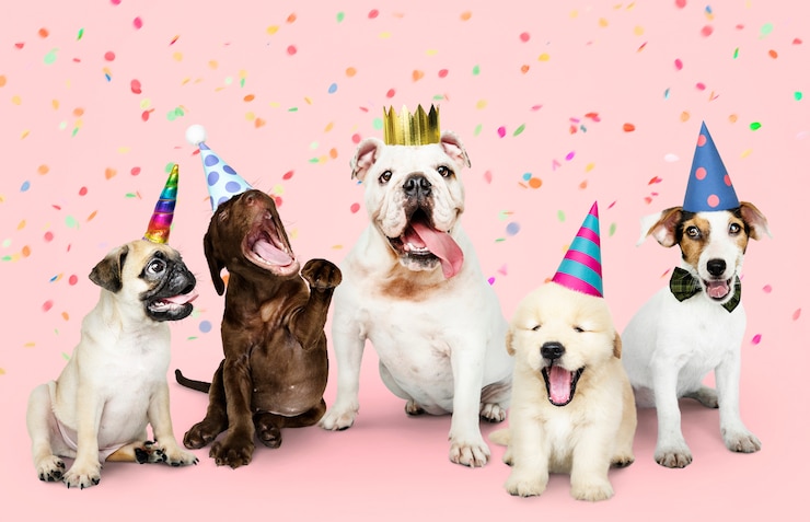 Gratis Foto groep puppy die een nieuw jaar viert