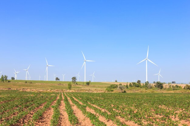 Groep windturbine stroomgenerator