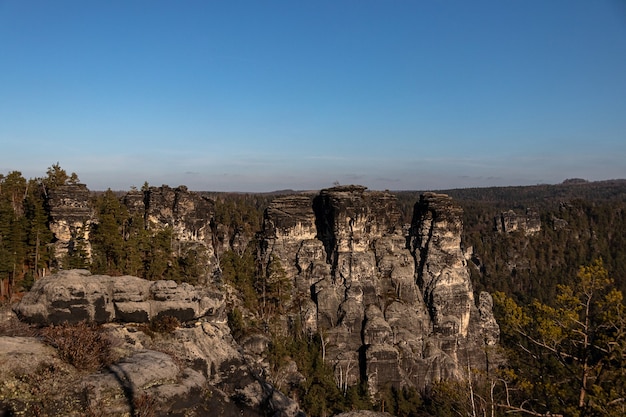 Groothoek opname van de Bastei-brug in Duitsland bedekt met bomen onder een heldere blauwe hemel