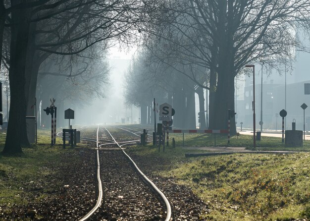 Groothoek schoot een spoorweg door het bos