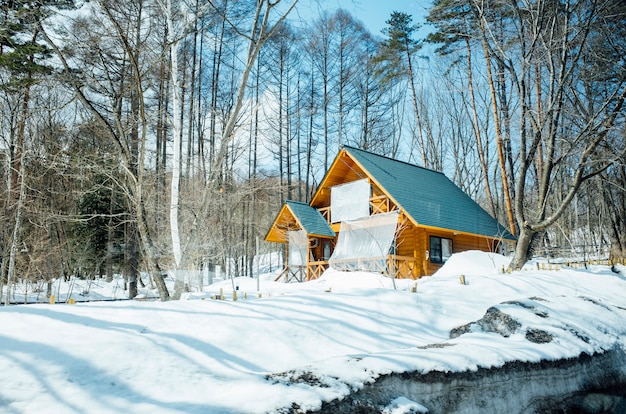 Grote hut in de sneeuwscène