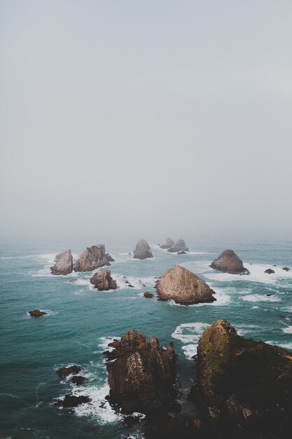 grote rotsen in nugget point ahuriri, nieuw-zeeland met een mistige achtergrond