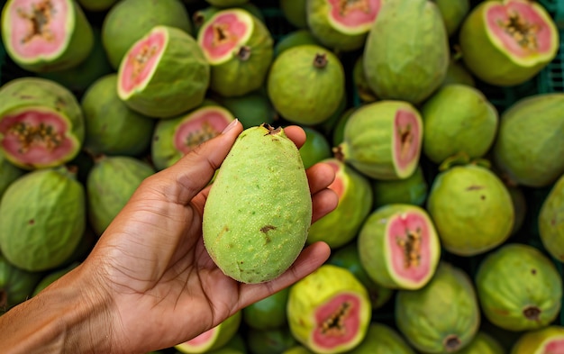 Gratis foto guava-vrucht stilleven