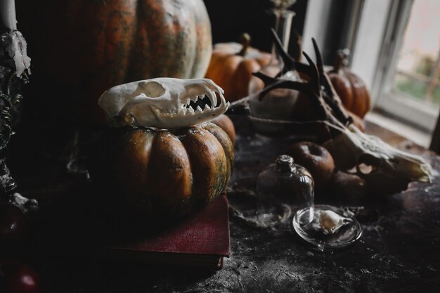 Halloween decor. Oude pompoenen, granaatappels, appels