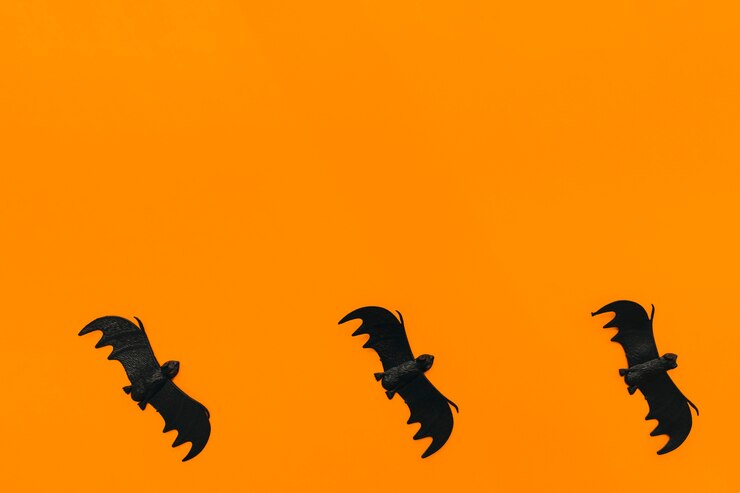 Gratis Foto halloween decoratie met drie vleermuizen