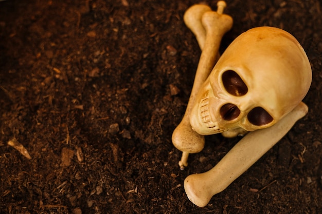 Gratis foto halloween decoratie met schedel en botten