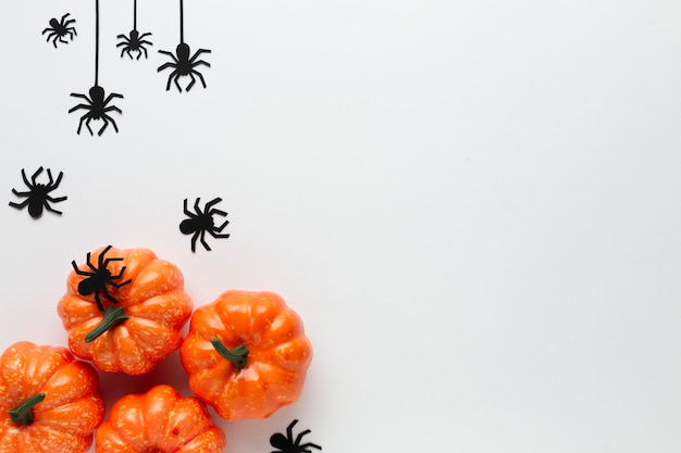 Halloween-pompoenen en spinnen met exemplaarruimte