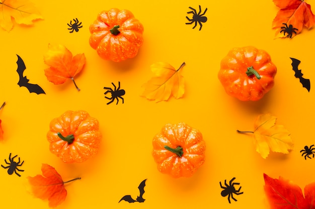 Gratis foto halloween-pompoenen met bladeren en spinnen