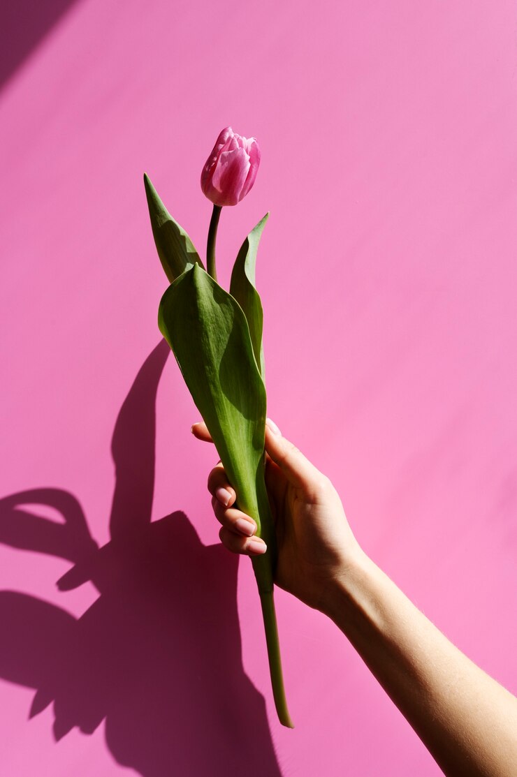 Hand met elegante bloem