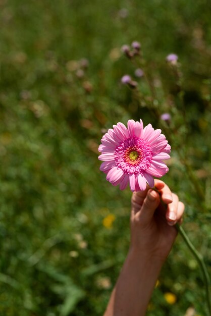 Hand met roze bloem hoge hoek