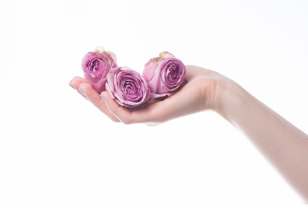 Hand met rozen