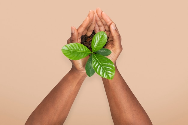 Gratis foto handen cupping plant red het milieu campagne