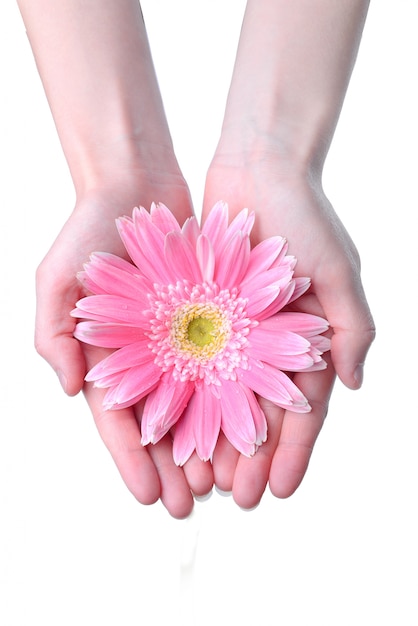 Handen die een roze bloem