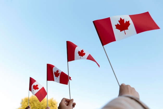 Gratis foto handen met canadese vlaggen tegen de hemel