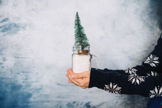 Handen met kleine kerstboom