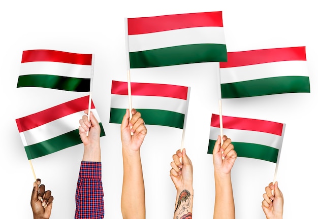 Gratis foto handen met vlaggen van hongarije zwaaien