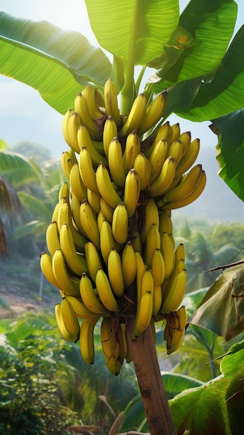 Heerlijke bananen in de natuur