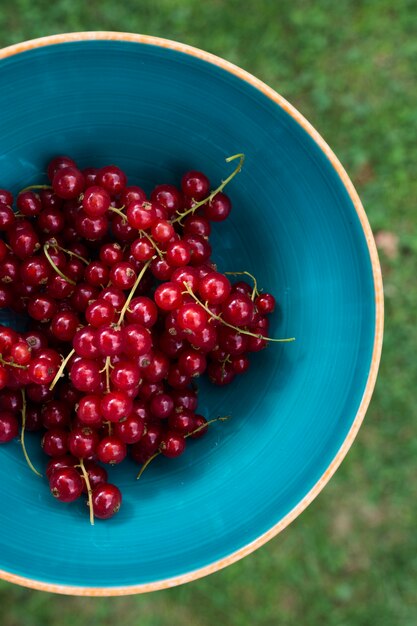 Heerlijke biologische cranberries bovenaanzicht