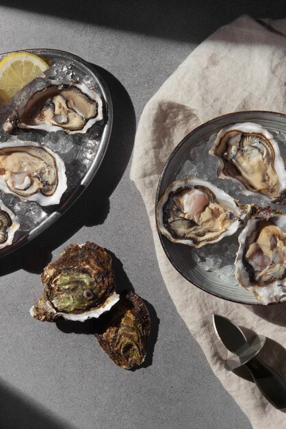 Heerlijke oesters klaar om stilleven te eten