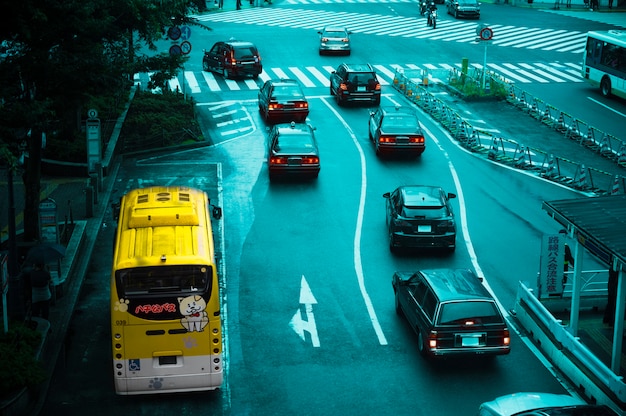 Gratis foto helder poplandschap van de weg