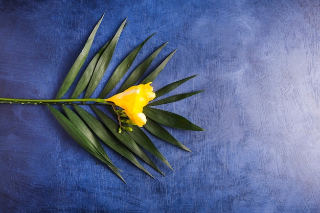 Gratis foto heldere bloem en tropische plant