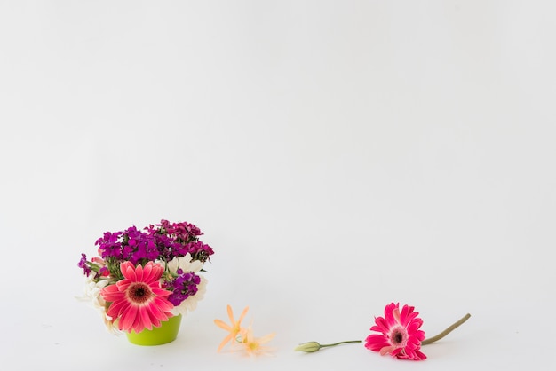 Gratis foto heldere bloemen dichtbij pot