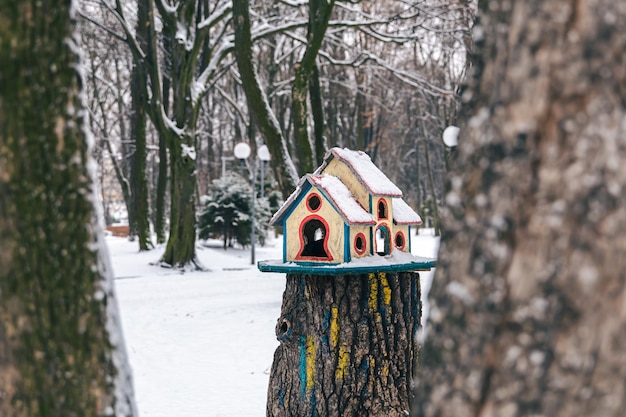 Heldere vogelvoeder in het winterbos